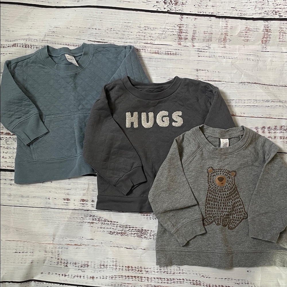 18 Months Carter's Gray and Blue Bear & HUGS Sweatshirts Bundle
